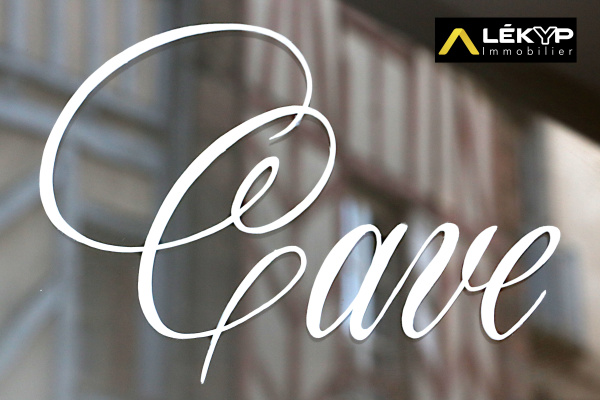 Vente Immobilier Professionnel Fonds de commerce Redon 35600